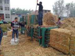 卡塔爾廢紙打包機挑戰寒冷極限